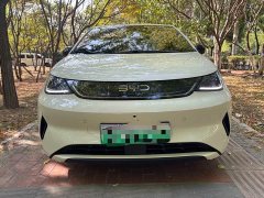 BYD Dolphin 2025 Smart Drive 420km Freedom Edition - ფოტო 16