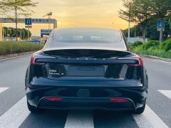 Tesla Model 3 Rear-Wheel Drive - ფოტო 6