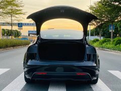 Tesla Model 3 Rear-Wheel Drive - ფოტო 9
