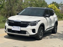 Kia Situs 1.5L CVT Luxury - ფოტო 1