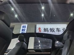 Neta S 2022 Extended Range 1160km RWD Base - ფოტო 16