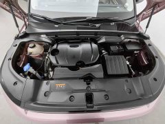Geely ICON 1.5TD Chocolate Refined Edition - ფოტო 6