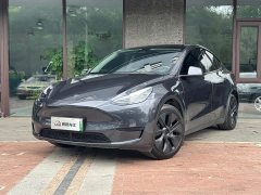 Tesla Model Y Rear-Wheel Drive - ფოტო 1