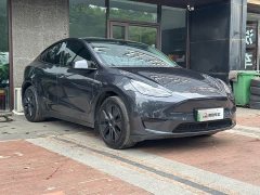 Tesla Model Y Rear-Wheel Drive - ფოტო 2