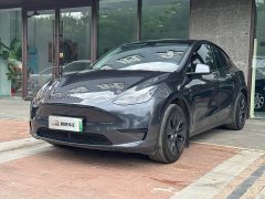Tesla Model Y Rear-Wheel Drive - ფოტო 3