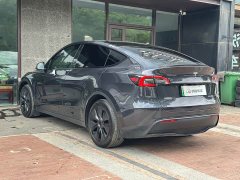 Tesla Model Y Rear-Wheel Drive - ფოტო 6