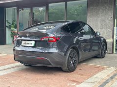 Tesla Model Y Rear-Wheel Drive - ფოტო 8