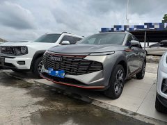 Haval Divine Beast 2023 1.5T Smart Enjoy Edition - ფოტო 1