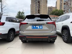 Haval Divine Beast 2023 1.5T Smart Enjoy Edition - ფოტო 14