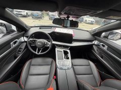Haval Divine Beast 2023 1.5T Smart Enjoy Edition - ფოტო 6