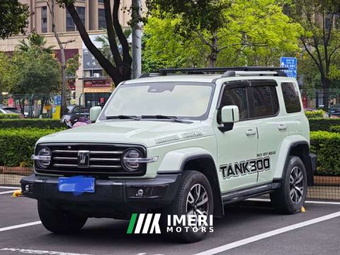2022 Tank 300 City Edition 2.0T Stylish - автомобиль из Китая
