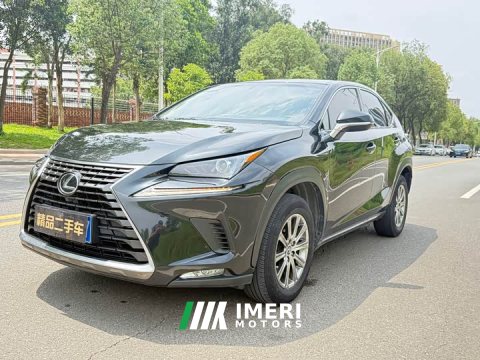 2021 Lexus NX 2020 200 FWD Sharp Edition National VI - ავტომობილი ჩინეთიდან