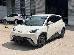 BYD Seagull Glory Edition 305km Vitality Version - ფოტო 1