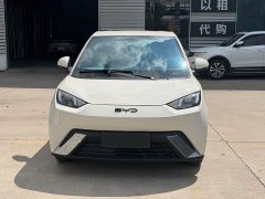 BYD Seagull Glory Edition 305km Vitality Version - ფოტო 2