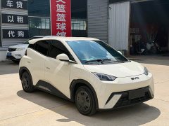 BYD Seagull Glory Edition 305km Vitality Version - ფოტო 3