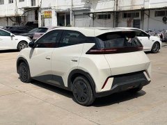 BYD Seagull Glory Edition 305km Vitality Version - ფოტო 6