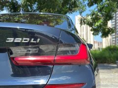 BMW 3 Series 320Li M Sport Package - ფოტო 15