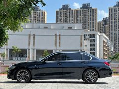 BMW 3 Series 320Li M Sport Package - ფოტო 17