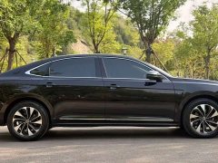 Volkswagen Passat 330TSI Starry Sky Elite - ფოტო 6