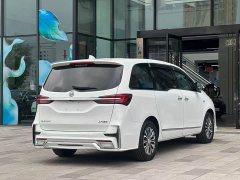 Buick GL8 Land Business Class 652T Luxury - ფოტო 6