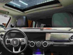 Tank 300 2021 Off-Road Edition 2.0T Conqueror - ფოტო 9