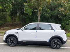 Chery QQ3 EV 420 Edition - ფოტო 3