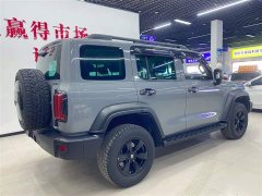 Tank 300 Off-Road Edition 2.0T Conqueror - ფოტო 6
