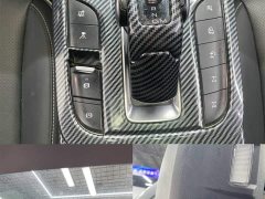 Tank 300 Off-Road Edition 2.0T Conqueror - ფოტო 9