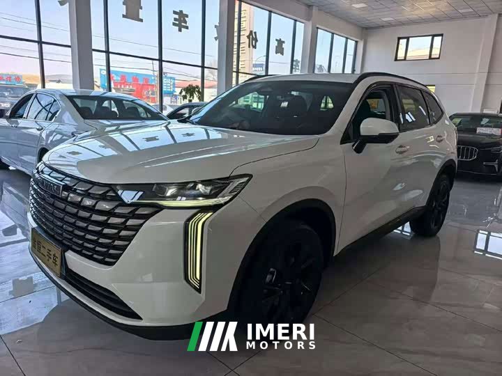Haval H6 2024 2.0T Two-Wheel Drive Max - ავტომობილი ჩინეთიდან
