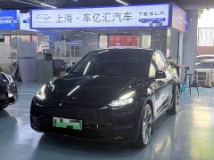 Tesla Model Y Long Range All-Wheel Drive - ფოტო 1