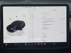 Tesla Model Y Long Range All-Wheel Drive - ფოტო 13