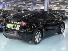 Tesla Model Y Long Range All-Wheel Drive - ფოტო 4