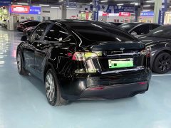 Tesla Model Y Long Range All-Wheel Drive - ფოტო 5
