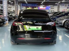 Tesla Model Y Long Range All-Wheel Drive - ფოტო 6