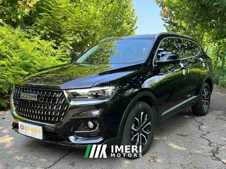 Haval H6 2023 National Trend Edition 1.5T Automatic Urban Version - ავტომობილი ჩინეთიდან