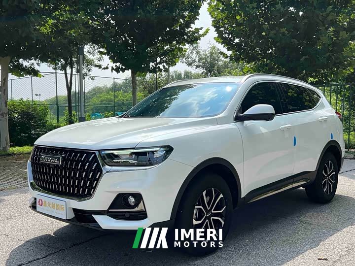 Haval H6 National Trend Edition 1.5T Automatic Urban Version - ავტომობილი ჩინეთიდან