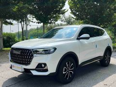 Haval H6 National Trend Edition 1.5T Automatic Urban Version - ფოტო 1
