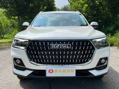 Haval H6 National Trend Edition 1.5T Automatic Urban Version - ფოტო 2