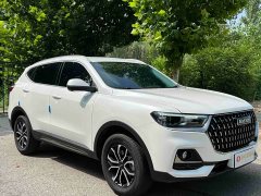 Haval H6 National Trend Edition 1.5T Automatic Urban Version - ფოტო 3