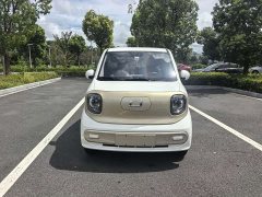 FAW Pony 222km - ფოტო 2