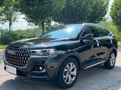 Haval H6 2021 National Trend 1.5T Automatic Champion Edition - ფოტო 1