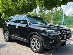 Haval H6 2021 National Trend 1.5T Automatic Champion Edition - ფოტო 3