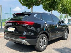 Haval H6 2021 National Trend 1.5T Automatic Champion Edition - ფოტო 6