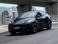 Tesla Model Y Rear-Wheel Drive - ფოტო 1