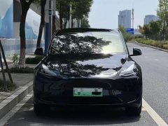 Tesla Model Y Rear-Wheel Drive - ფოტო 2