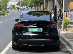Tesla Model Y Rear-Wheel Drive - ფოტო 3
