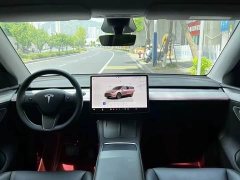 Tesla Model Y Rear-Wheel Drive - ფოტო 4