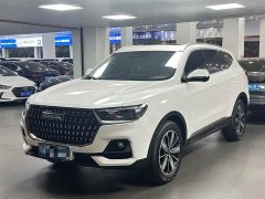 Haval H6 National Trend Edition 1.5T Automatic Champion Version - ფოტო 1