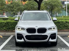 BMW X3 xDrive25i M Sport Package - ფოტო 6