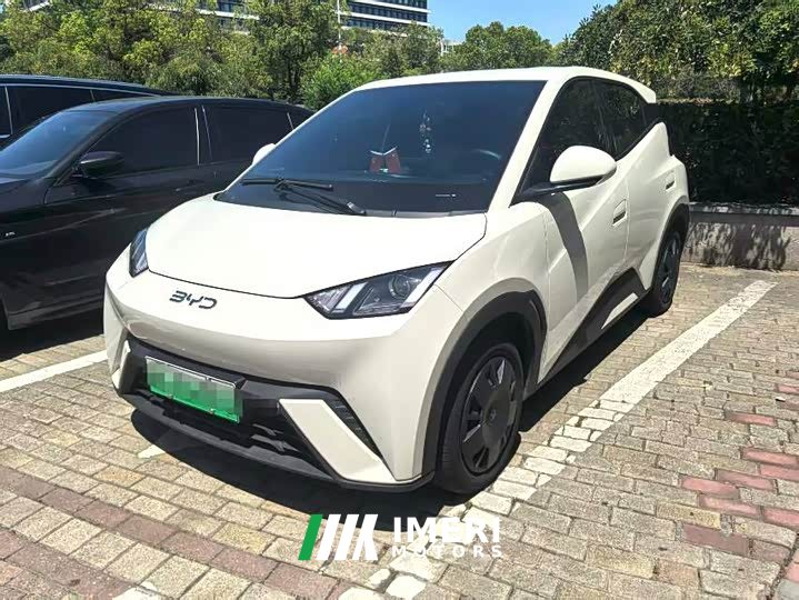 BYD Seagull 305km Vitality Edition - ავტომობილი ჩინეთიდან
